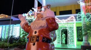 IMG_1508.jpeg